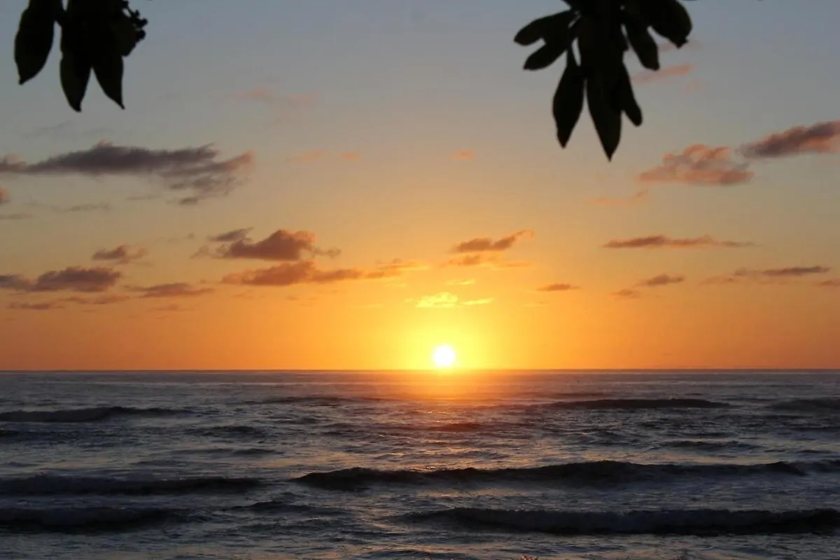 New! 2 Hotel Rooms, A Pool Ocean View Room Plus A Mountain View Room At 4 Star Kauai Beach Resort Lihue