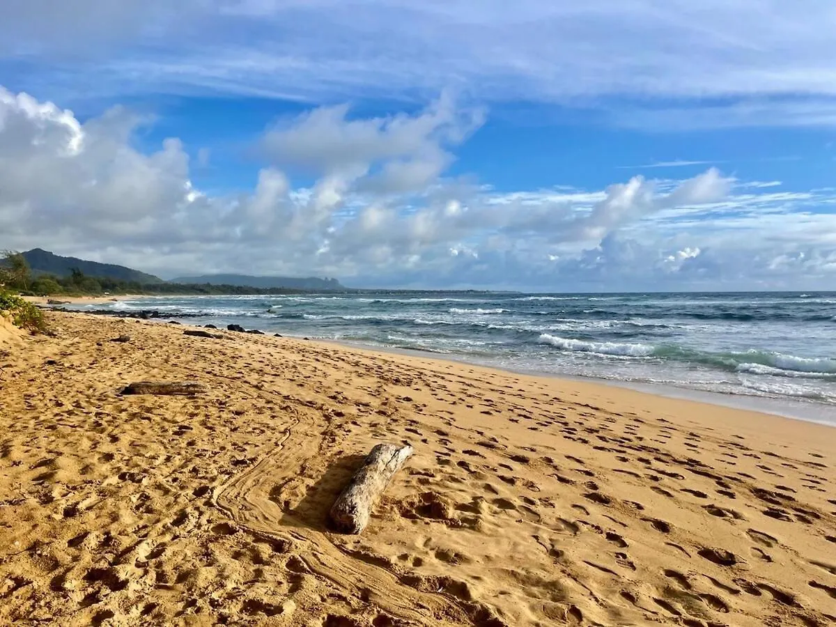 New! 2 Hotel Rooms, A Pool Ocean View Room Plus A Mountain View Room At 4 Star Kauai Beach Resort Lihue