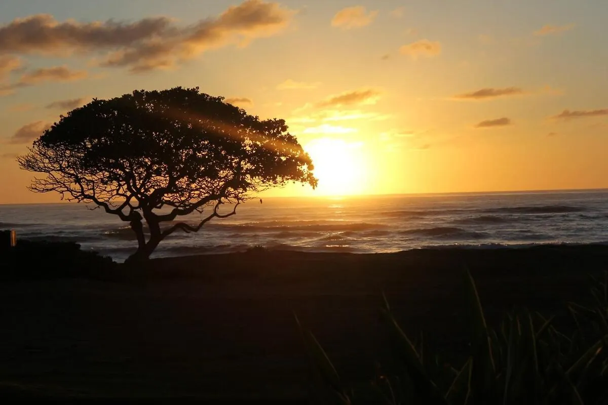 New! 2 Hotel Rooms, A Pool Ocean View Room Plus A Mountain View Room At 4 Star Kauai Beach Resort Lihue 0*,  United States